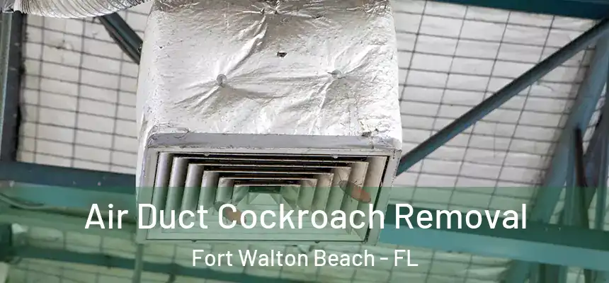 Air Duct Cockroach Removal Fort Walton Beach - FL