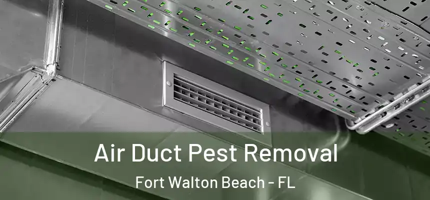Air Duct Pest Removal Fort Walton Beach - FL