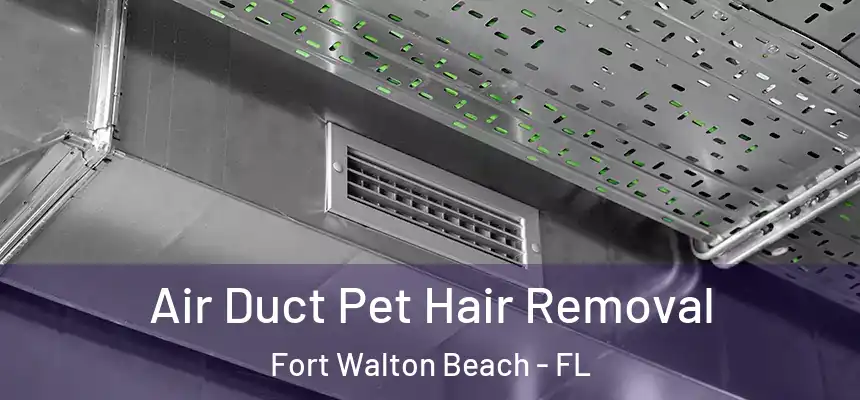 Air Duct Pet Hair Removal Fort Walton Beach - FL