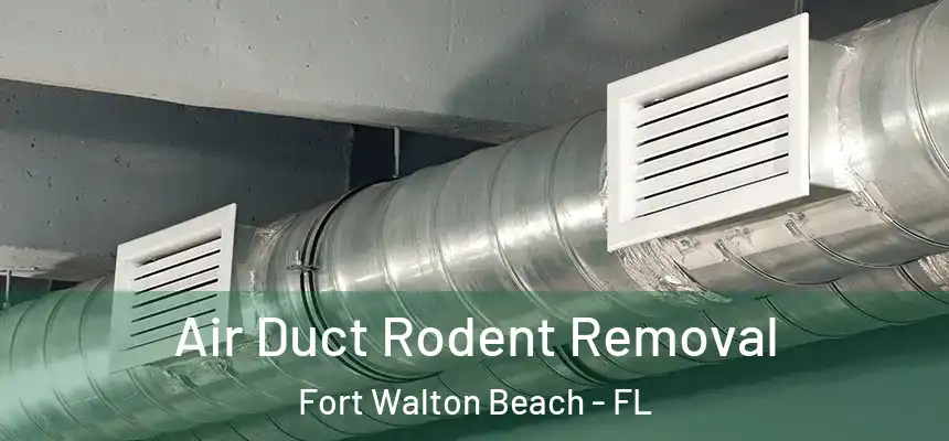Air Duct Rodent Removal Fort Walton Beach - FL