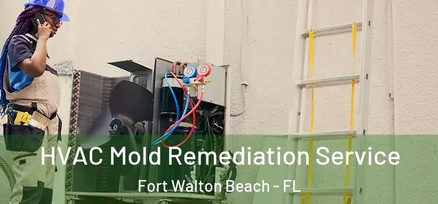 HVAC Mold Remediation Service Fort Walton Beach - FL