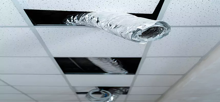 Our Air Duct Pet Hair Removal Services in Fort Walton Beach, FL