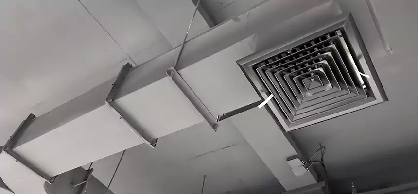 Restorative Allergy Relief Vent Cleaning – Coil, Blower & Housing Detail in Fort Walton Beach