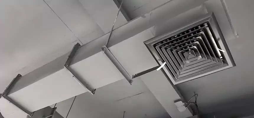 Our Pest Removal From Ducts Services in Fort Walton Beach, FL