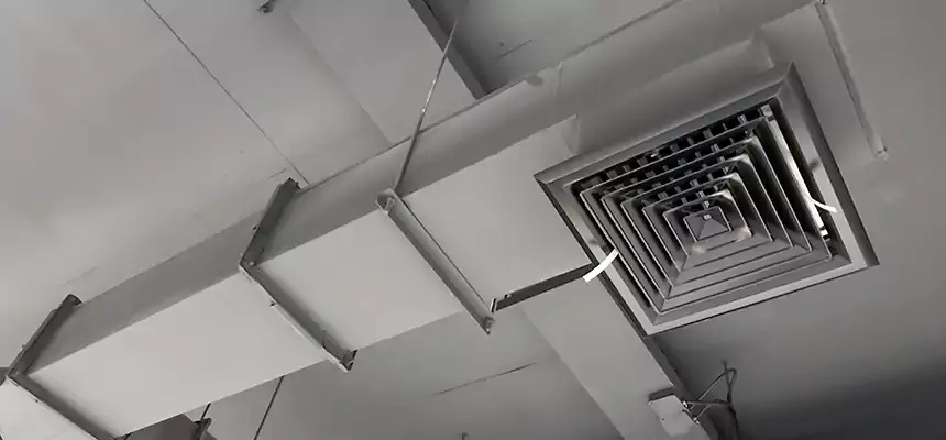 Our Rodent Droppings In Vents Services in Fort Walton Beach, FL