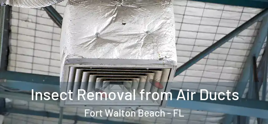 Insect Removal from Air Ducts Fort Walton Beach - FL