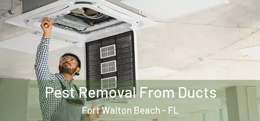 Pest Removal From Ducts Fort Walton Beach - FL