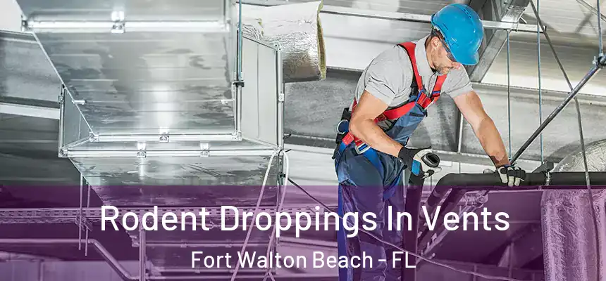Rodent Droppings In Vents Fort Walton Beach - FL
