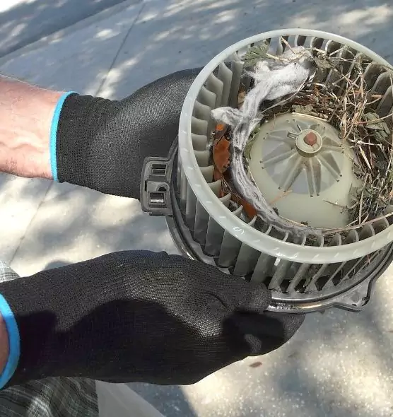 About Air Duct Mice Removal in Fort Walton Beach, FL