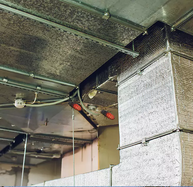 Why Homeowners & Businesses Trust Us in Fort Walton Beach, FL?