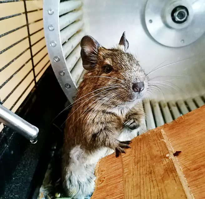 Why Homeowners & Businesses Trust Us Fort Walton Beach, FL