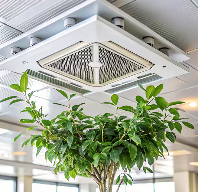 Why Homeowners & Businesses Trust Us in Fort Walton Beach, FL